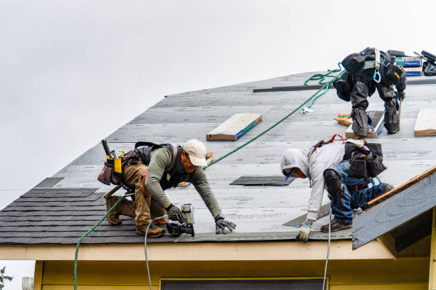 Professional Roofing technician working in Roscoe, MT